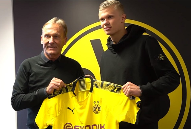 向量化决策 向量化决策